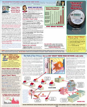 Smart Utility Meters:  Are they safe for you?